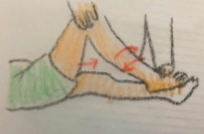 McMurray testの様子のイラストです。股関節、膝関節を屈曲し、下腿を内旋、外旋している様子のイラストです。