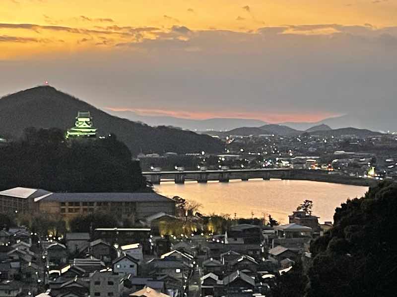 成田山の山頂から見た犬山城方面の夜景の様子です。