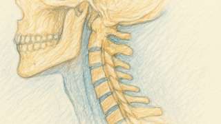 Thumbnail of post image 173